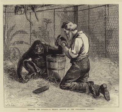 趋势无效，动物园最近的草图 作者 塞缪尔·埃德蒙·沃勒